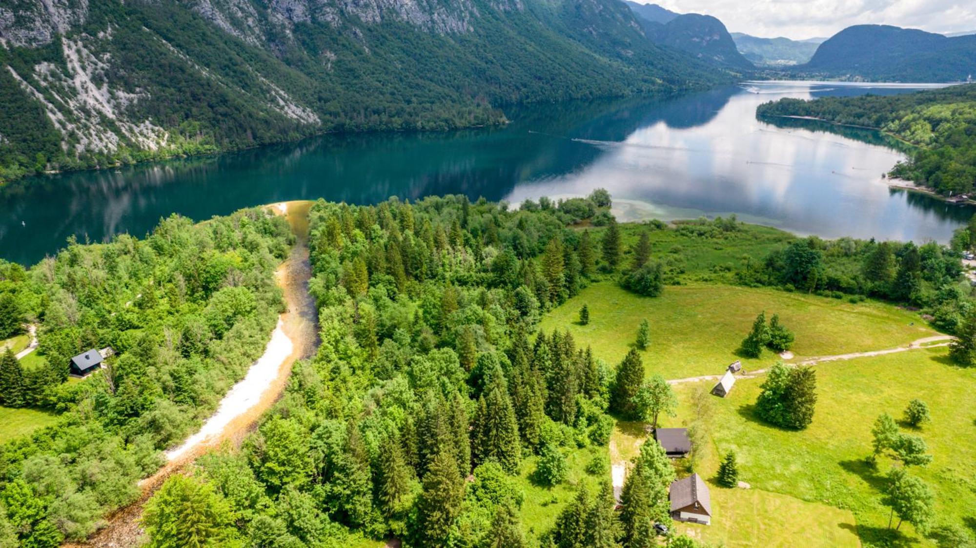 Pocitniska Hisa Taler Villa Bohinj Ngoại thất bức ảnh