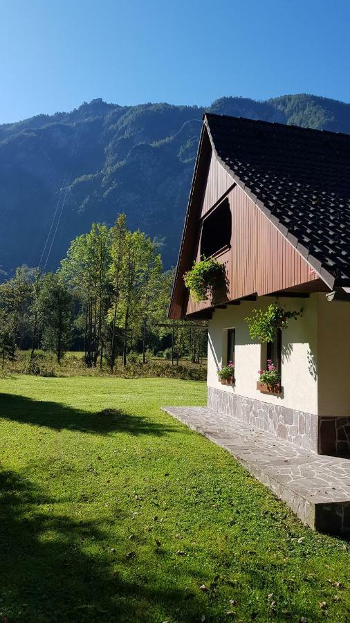 Pocitniska Hisa Taler Villa Bohinj Ngoại thất bức ảnh